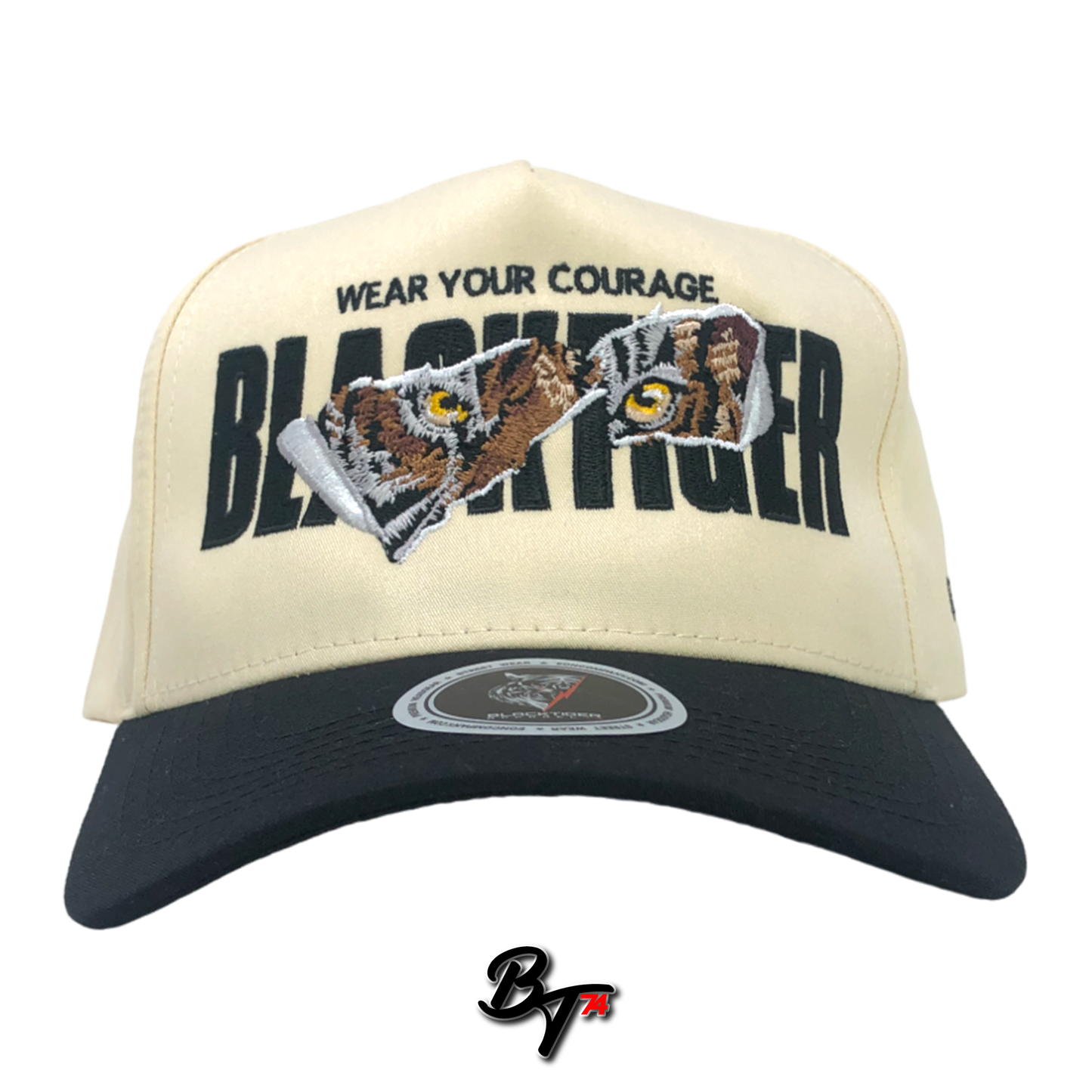 Courage Embroidery 5panel Baseball Snapback