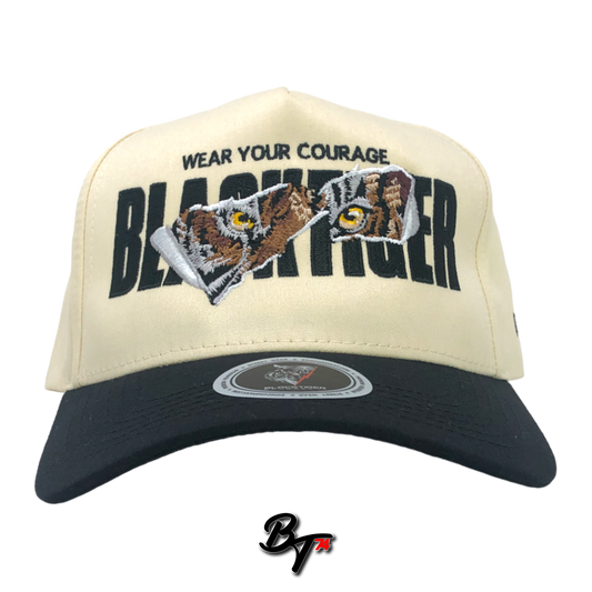 Courage Embroidery 5panel Baseball Snapback